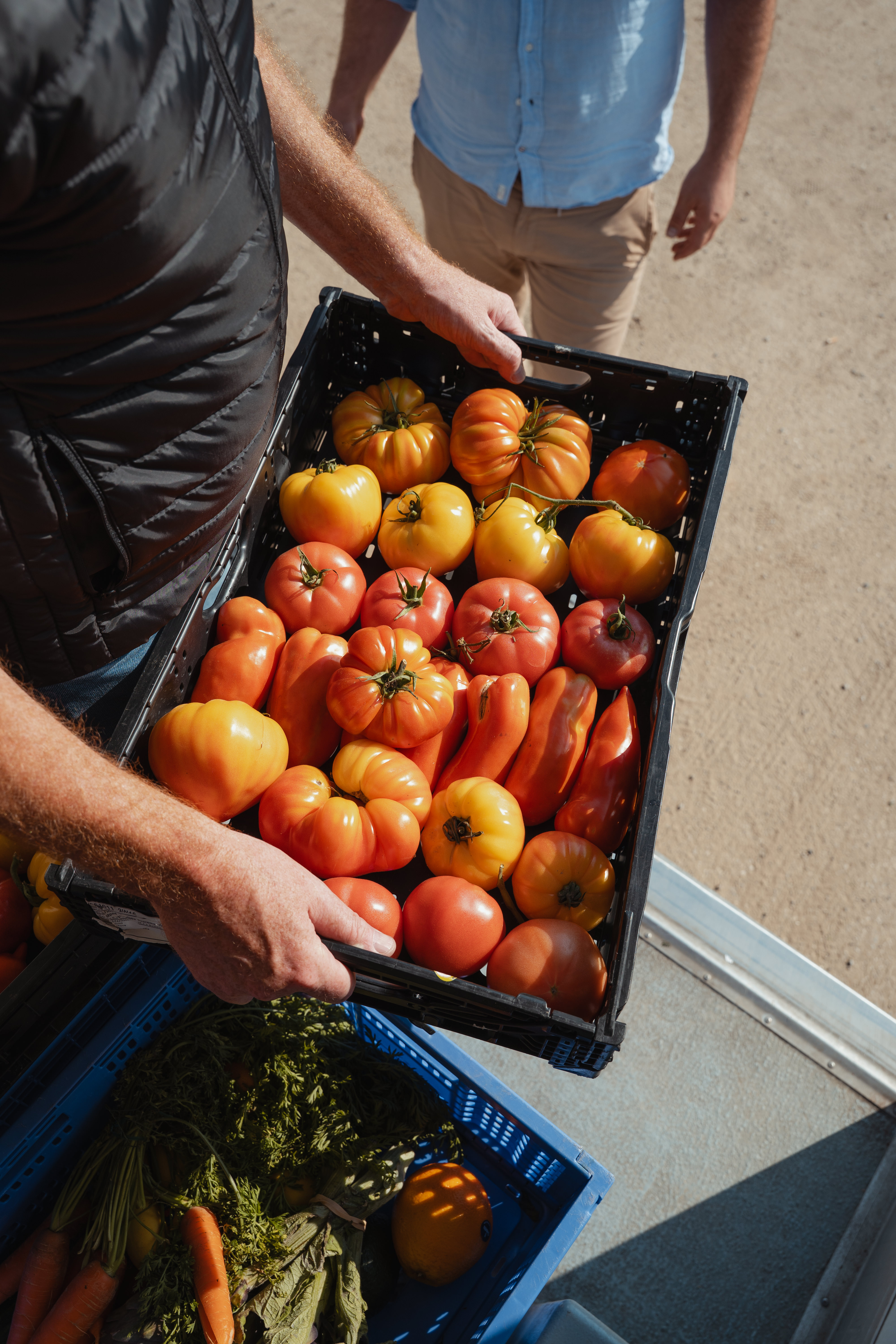 Jardin d'ici - Agriculture locale et durable