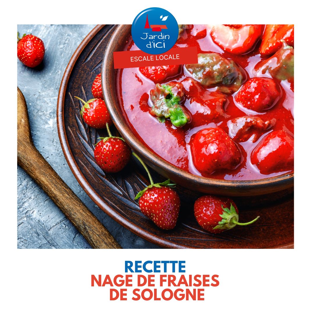 Recette fraise