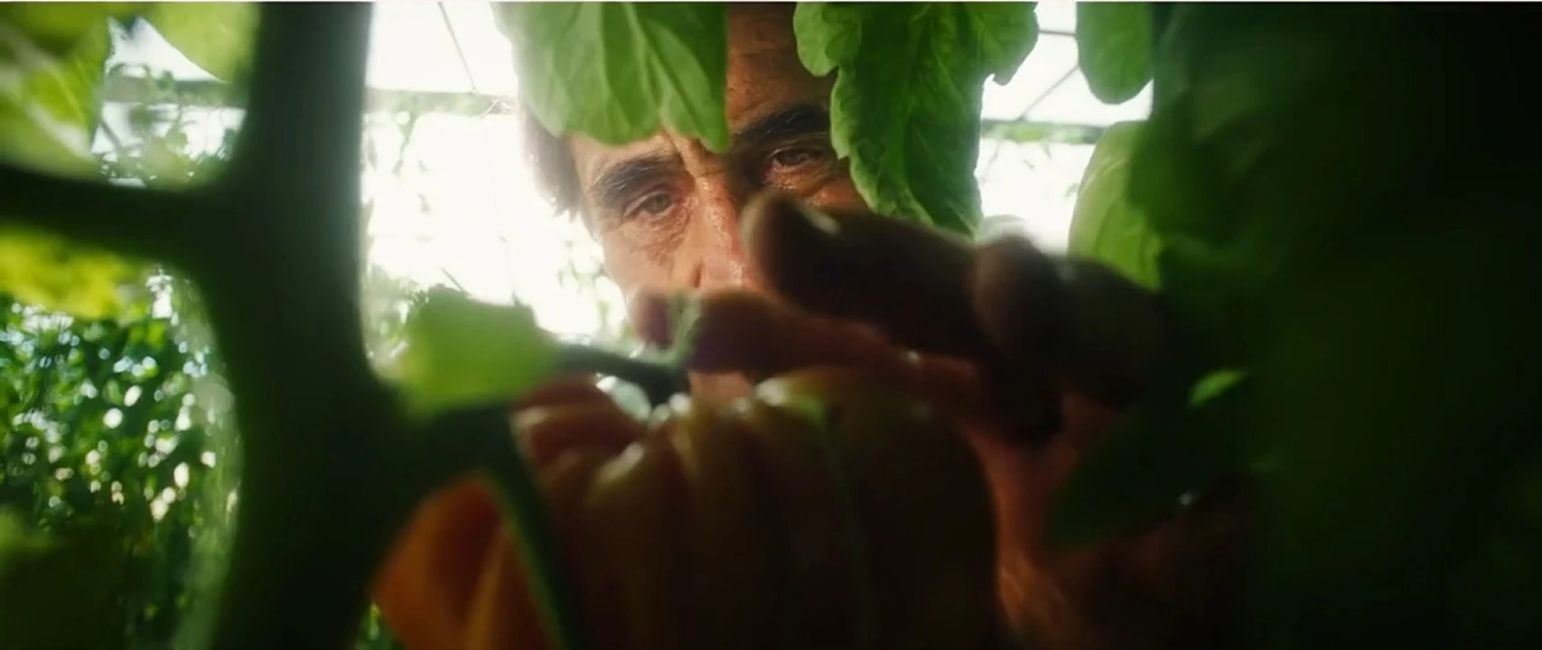 La communauté CRENO V2 - HDST